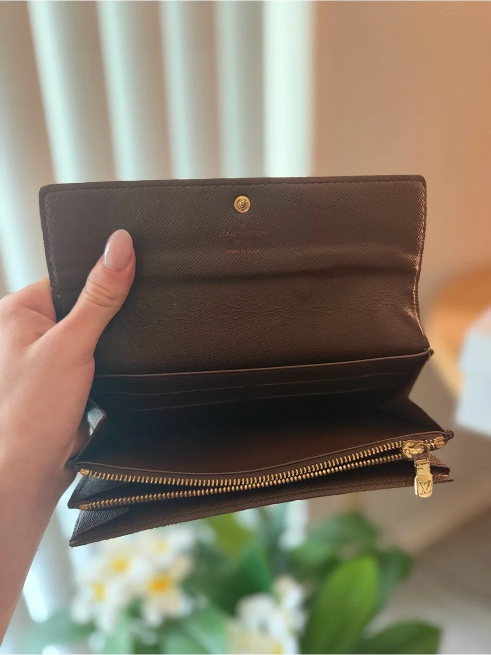 Louis Vuitton Epene Damier Women's Wallet Clutch